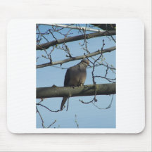 mourning dove mousepads