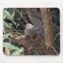 Mourning Dove Mousepads
