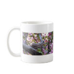 Mourning Dove Nest, Nesting Mourning Dove Coffee Mug