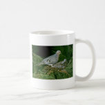 Mourning Dove with young Coffee Mugs