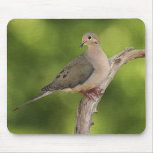 Mourning Dove, Zenaida macroura Mousepads