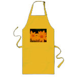 Mouse Ear Tickseed Apron