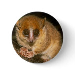 mouse-lemur buttons