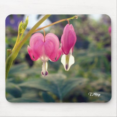 MOUSE PAD: 2 Bleeding Hearts by ndiptanya