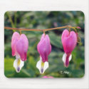 MOUSE PAD, 3 Bleeding Heart mousepads
