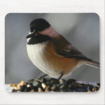 Mouse Pad - Chickadee mousepads