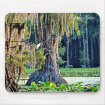 Mouse Pad - Cypress001