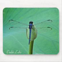 Mouse Pad - Large Dragonfly