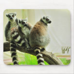 Mouse Pad - Lemur-Ring Tailed mousepads