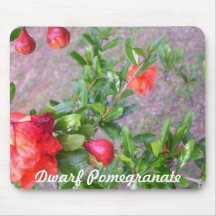 Mouse Pad - Standard - Dwarf Pomegranate