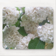 Mouse Pad - Standard - White Hydrangea