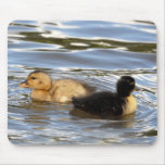 Mousemat featuring multi-coloured ducklings mousepads
