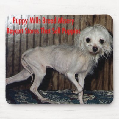Mousepad by Prisonersofgreed