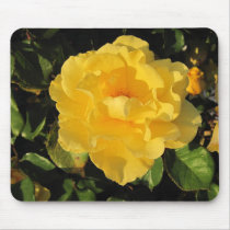 Mousepad: A Single Yellow Rose