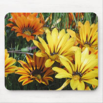 Mousepad, "African Daisy # 1"