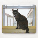 Mousepad, Calico cat