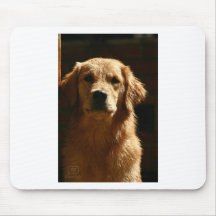 Mousepad de cão