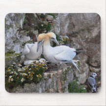 Mousepad: Gannets and Flowers