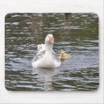 Mousepad: Goose and Gosling