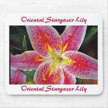 Mousepad, Oriental Stargazer Lily