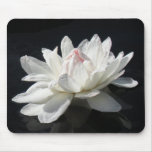 Mousepad, Paper White Water Lily