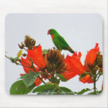 Mousepad-Parrot, green and orange Colasisi