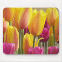 Mousepad-photograph of tuips