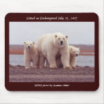 Mousepad / Polar Bear Female with Young