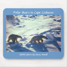 Mousepad / Polar Bears In Cape Lisburne