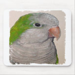 Mousepad - Quaker Parrot