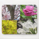 Mousepad, Spring 4 pictures