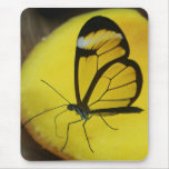 Mousepad - TOUCH OF LEMON