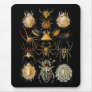 Mousepad Vintage Artist Ernst Haeckel Arachnida
