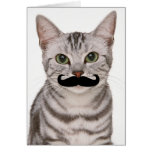 Moustache Cat Card