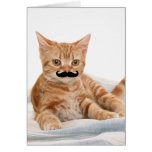 Moustache Kitty Card