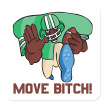 Move Bitch