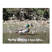 Moving along to a new place... post card