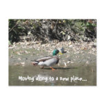 Moving along to a new place... postcards
