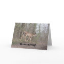 Moving card