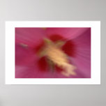 Moving Flower? posters