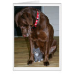 Moxie and Squeak cards