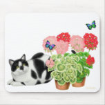 Moxie Cat and Butterflies Mousepad