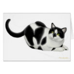 Moxie the Cat Card