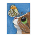 Mr Biggles and the Orange Tip - Cat Postcard