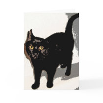 Mr. Black Card
