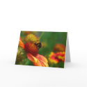 MR BUMBLE GREETING CARD