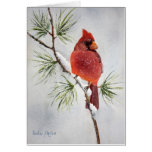 Mr Cardinal