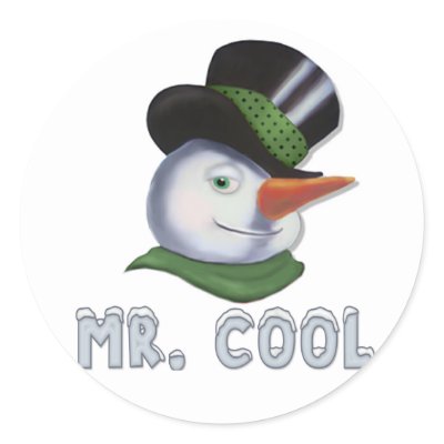 Mr. Cool - Snowman Sticker by Spice