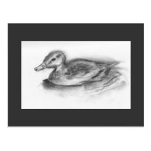 mr ducks postcards