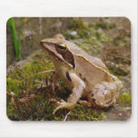 Mr. Frog mousepads